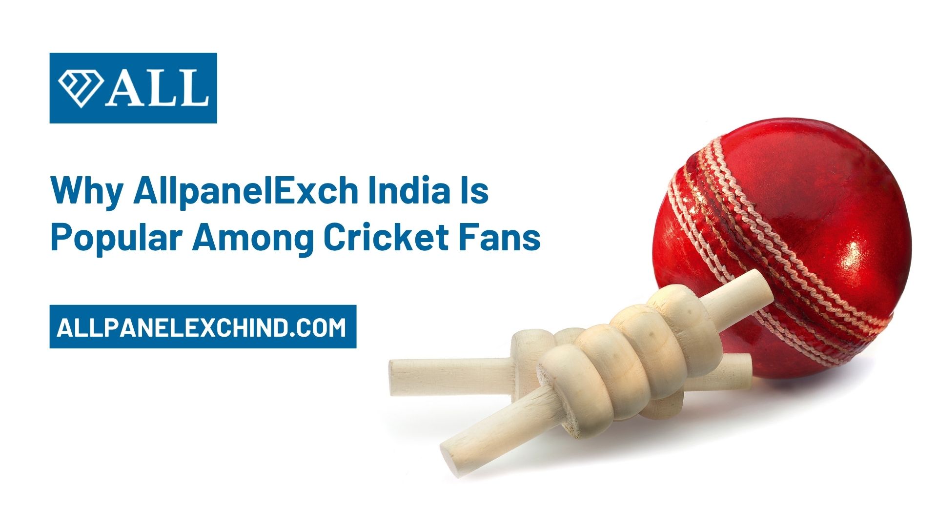 Why AllpanelExch India Is Popular Among Cricket Fans